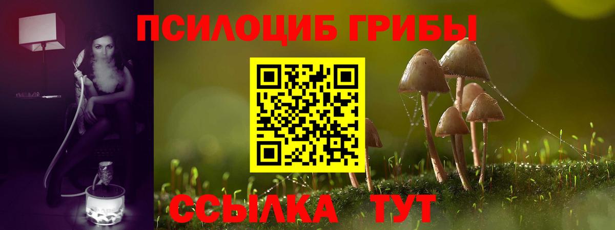Псилоцибиновые грибы GOLDEN TEACHER  Псилоцибиновые грибы Cubensis  Азов  наркотики  Вход с VPN 